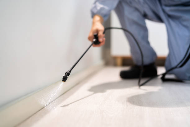 Professional Pest Control in Roseland, LA
