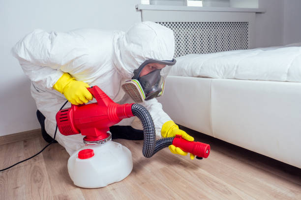 Best Termite Control Services  in Rosend, LA