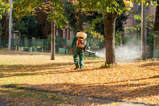 Best Pest Removal Services  in Rosend, LA
