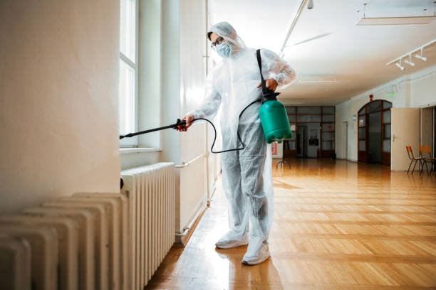 Best Affordable Pest Control Services  in Rosend, LA
